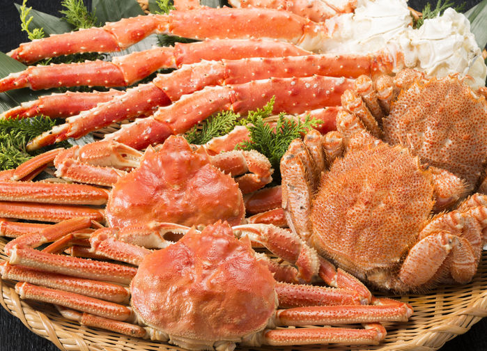 Morgenmarked i Hakodate, Hokkaido