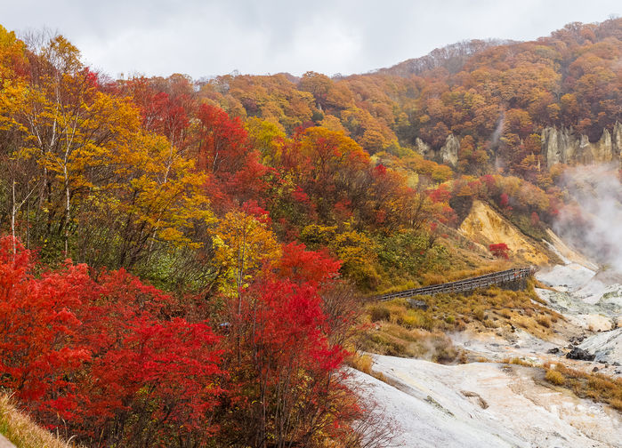 Høst i Djeveldalen, Hokkaido