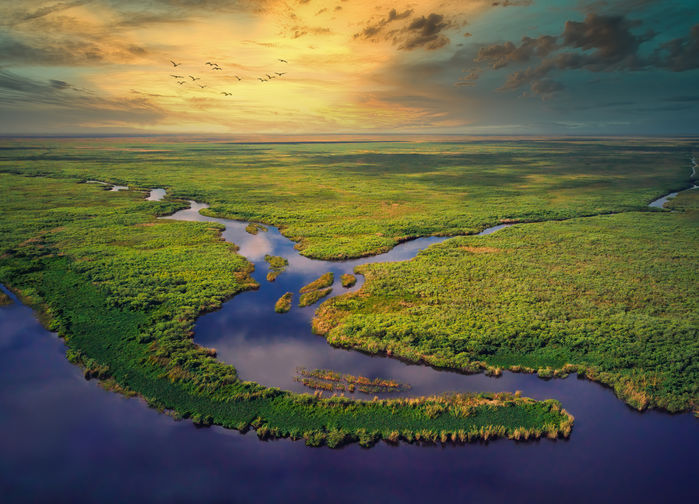 Everglades