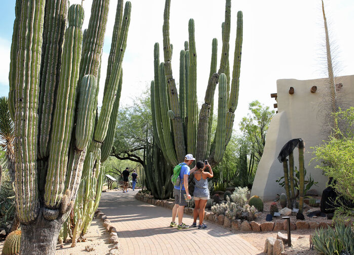 Scottsdale, en oas i Arizonas solvarma öken.